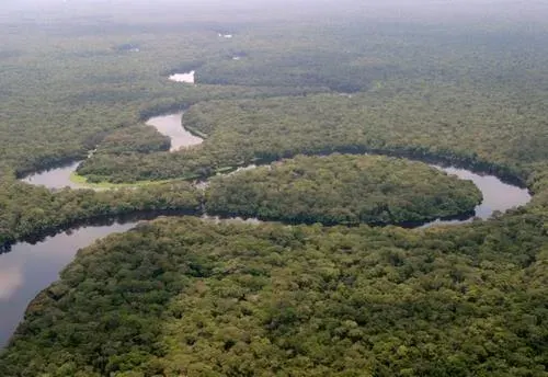 The Salonga National Park card