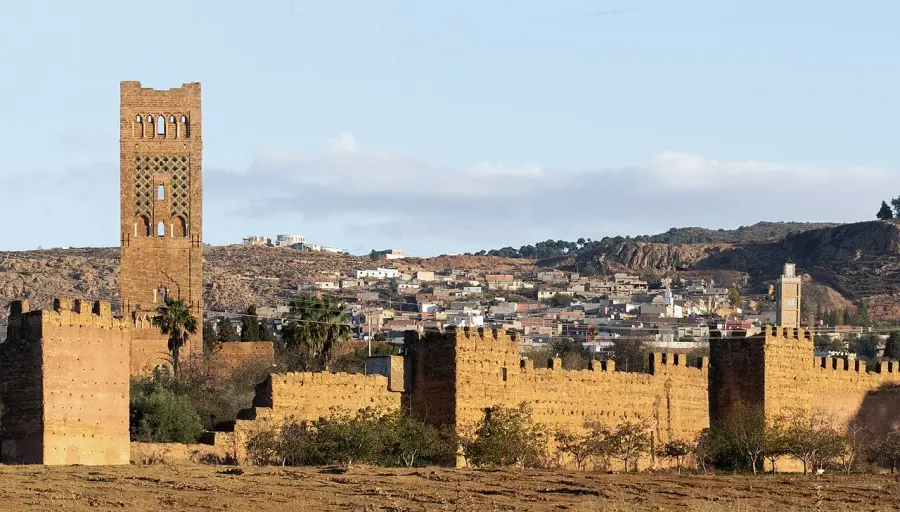 The Mansoura, Tlemcen card