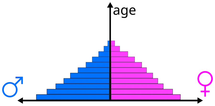 The Population pyramid card