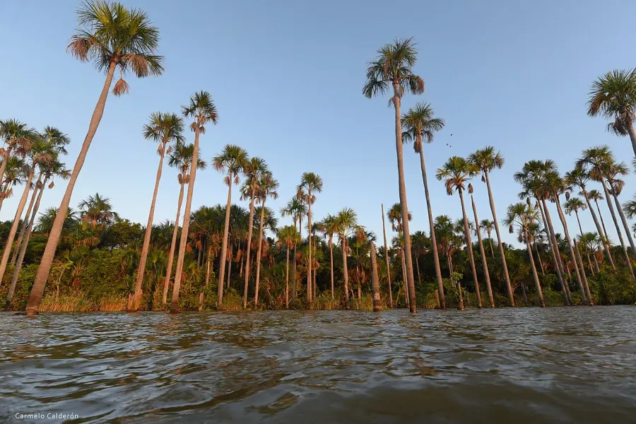 The Rogaguado Lake card
