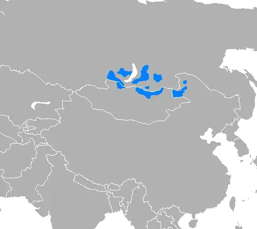 The Buryat language card