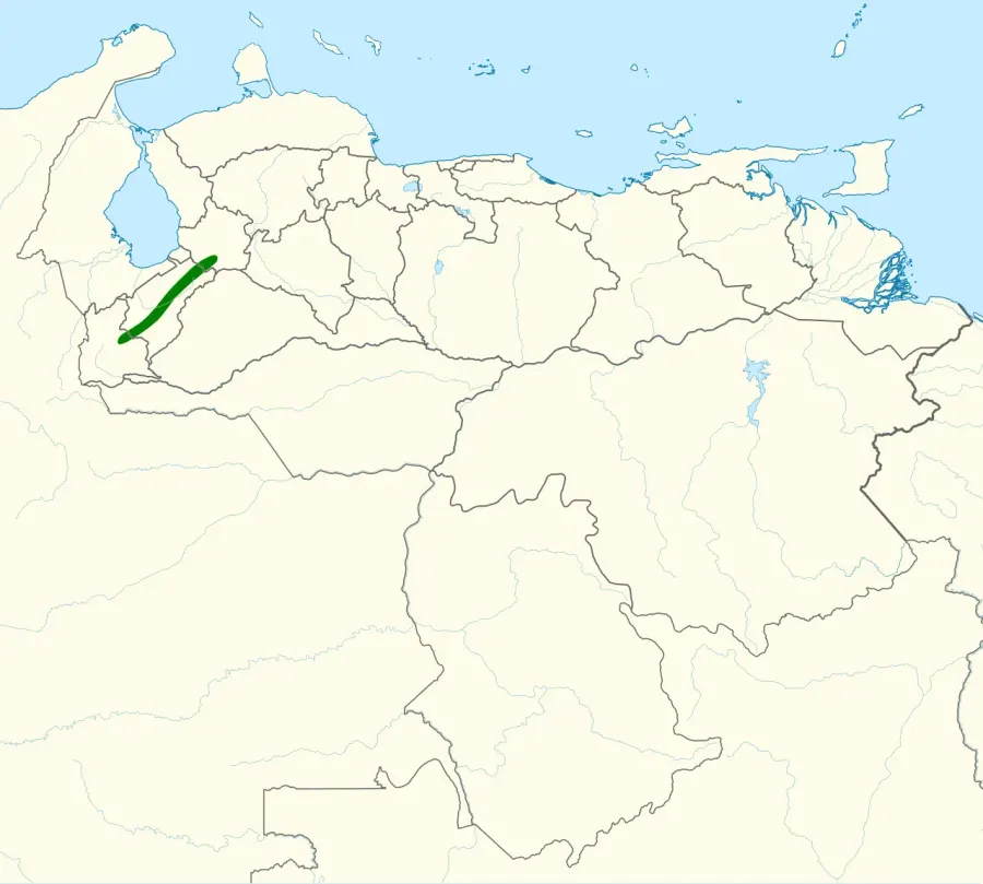 The Mérida wren card