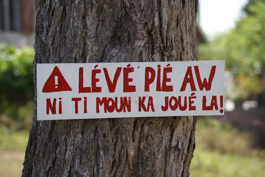 The Creole language card
