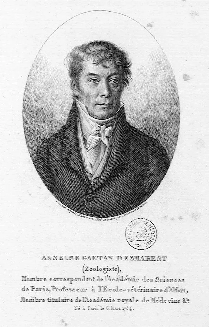La carte Anselme Gaëtan Desmarest