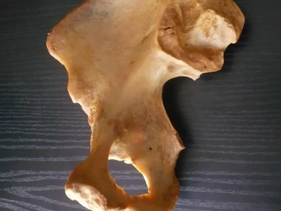 The Hip bone card
