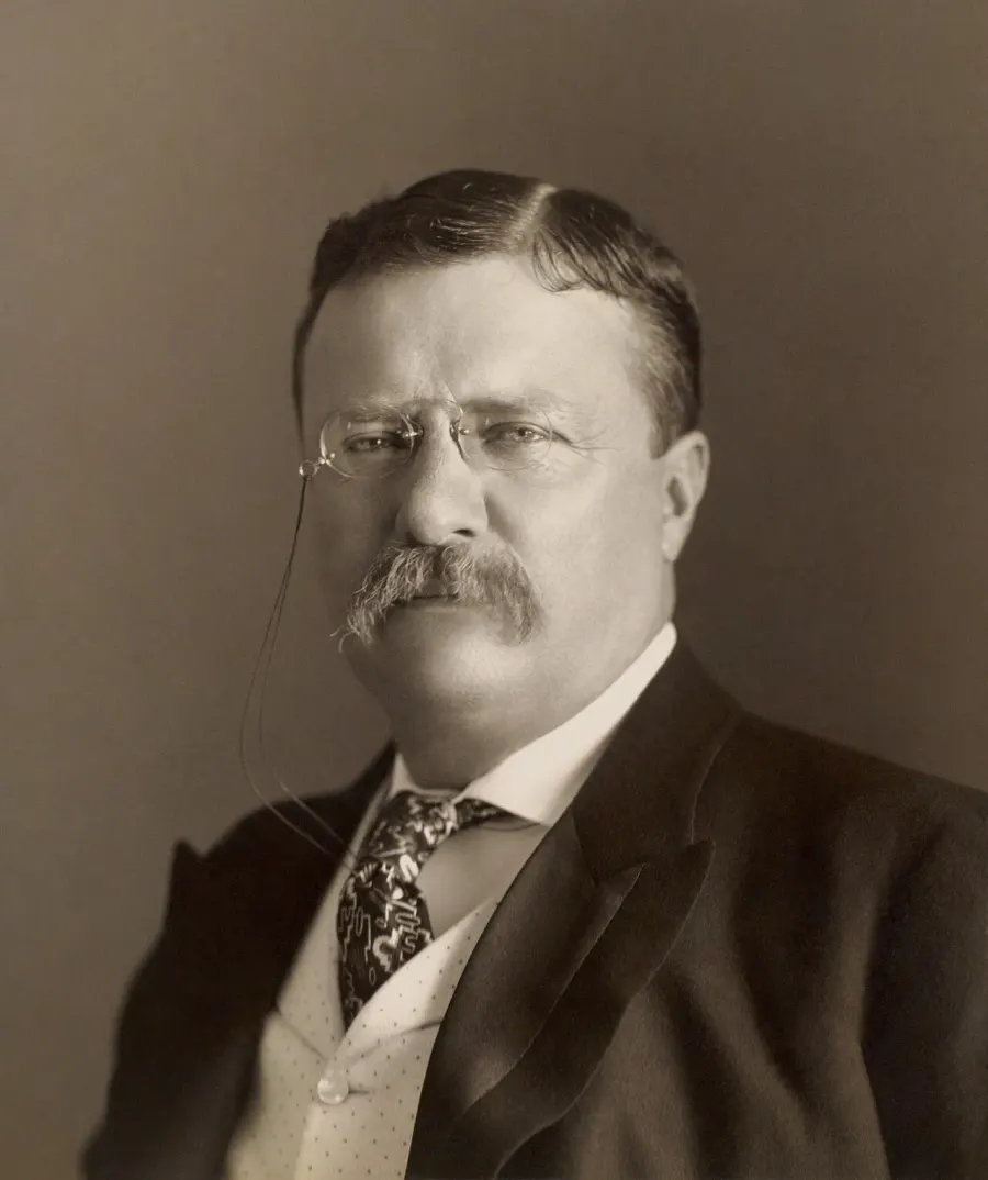 The Theodore Roosevelt card