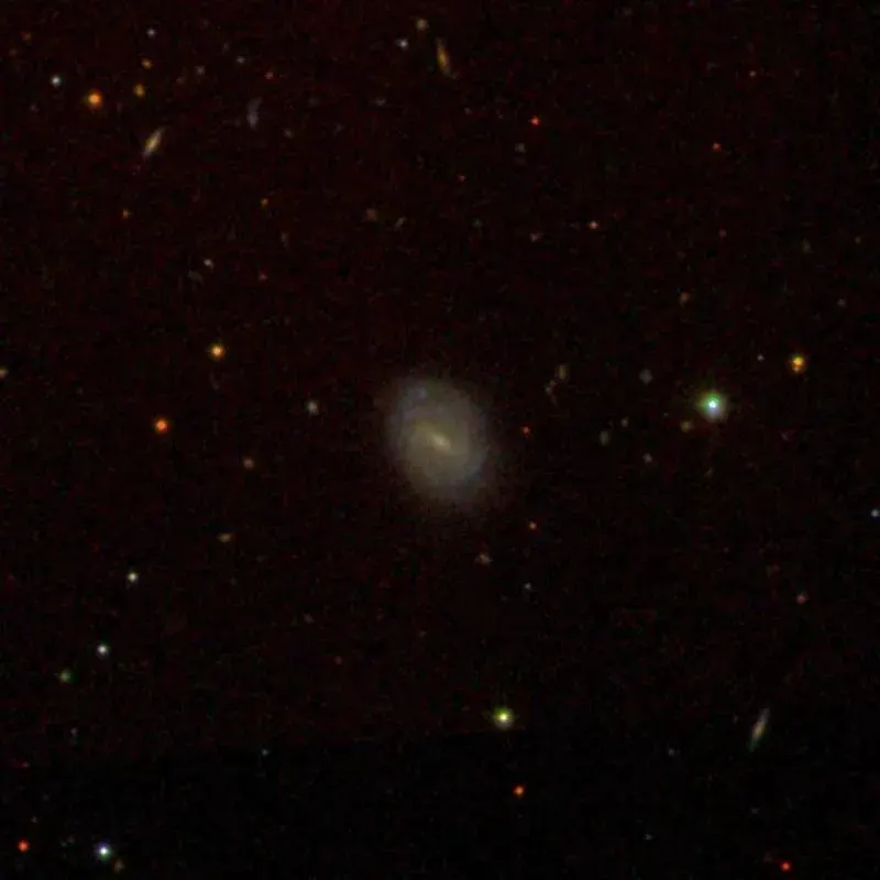 La carte NGC 5446