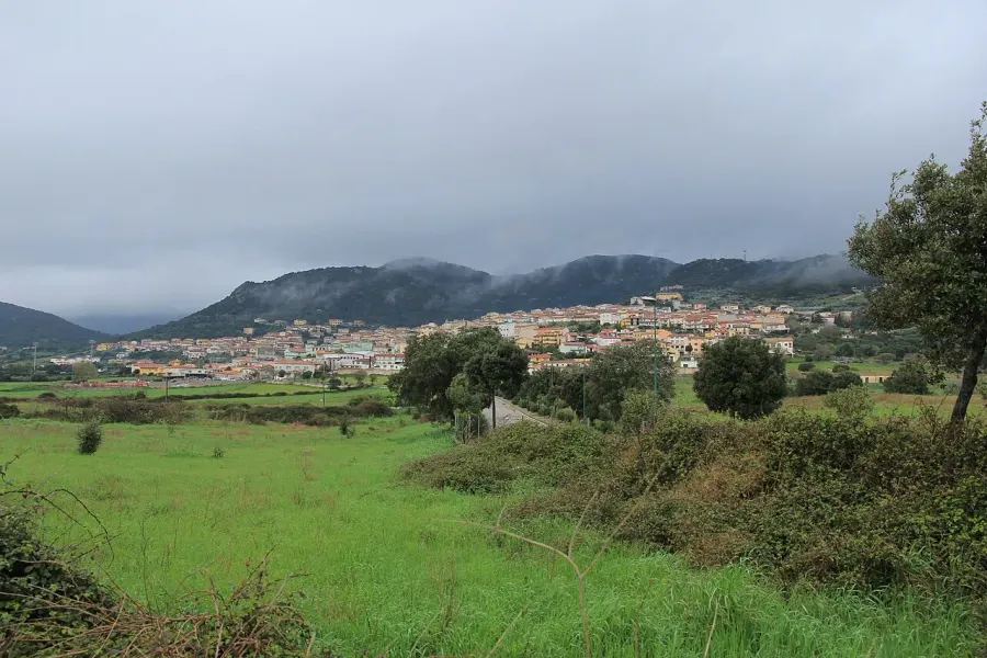 The Berchidda card
