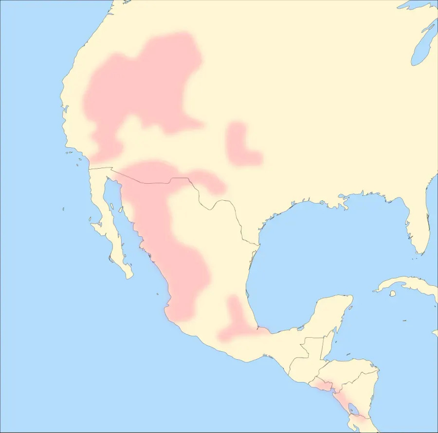 La carte Langues uto-aztèques