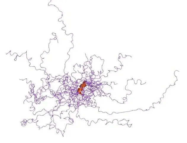La carte Protéines intrinsèquement désordonnées