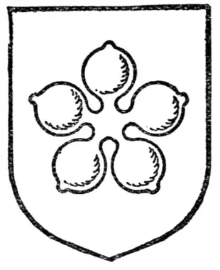 La carte Quintefeuille