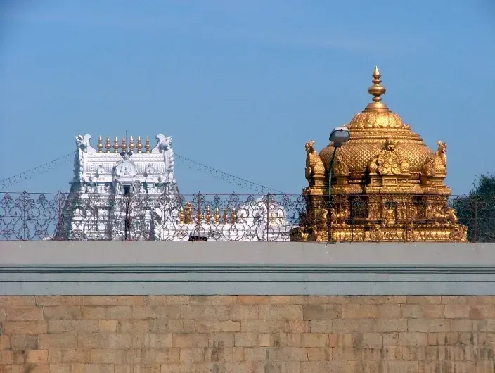 The Tirumala card