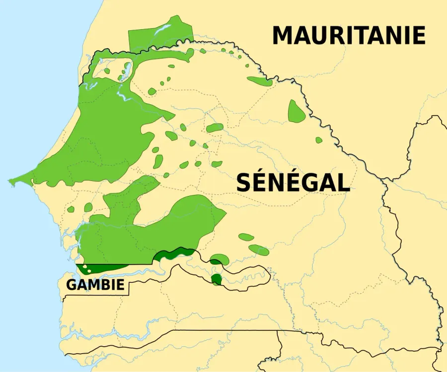 La carte Wolof