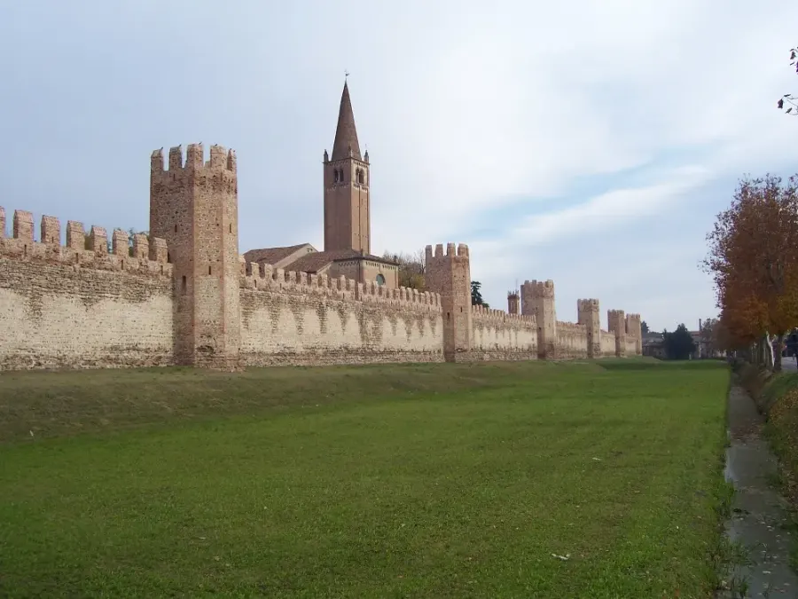 The Montagnana card