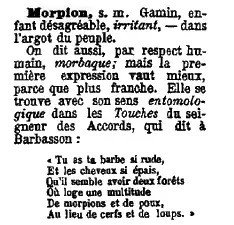 The Argot card