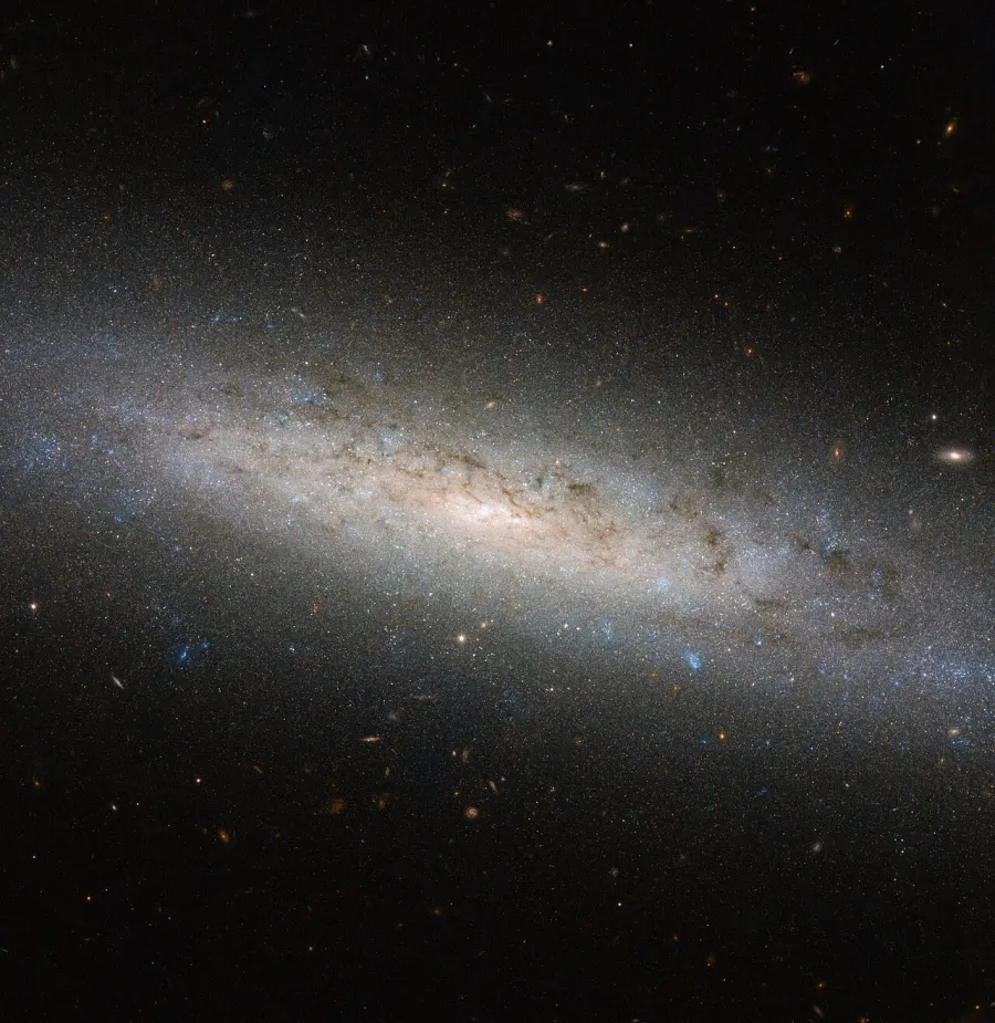 La carte NGC 24