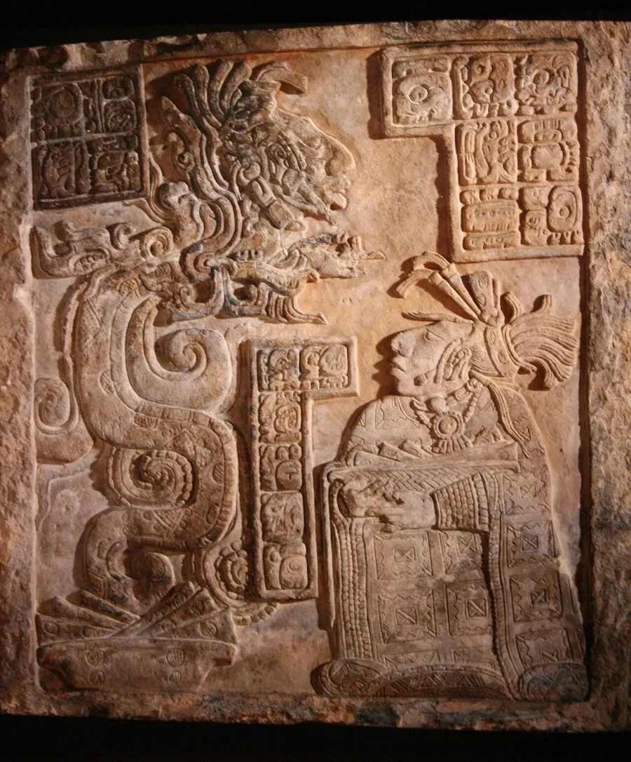 La carte Serpent-vision