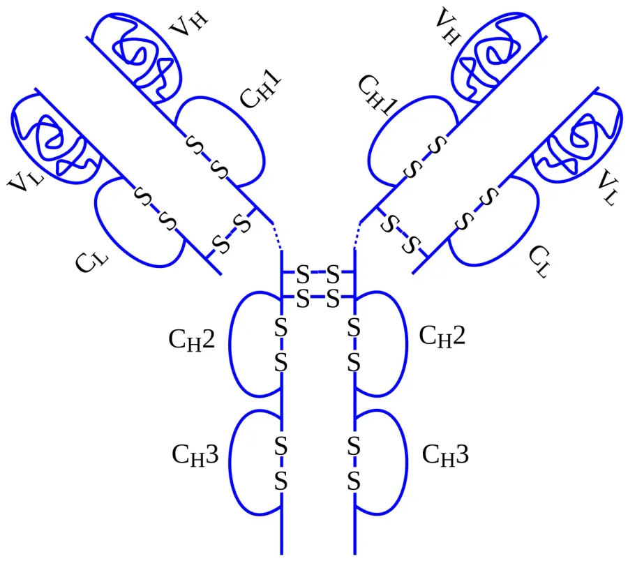 La carte Adalimumab