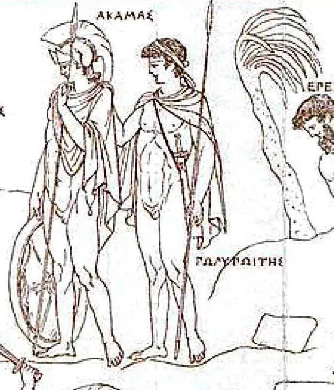 The Acamas card