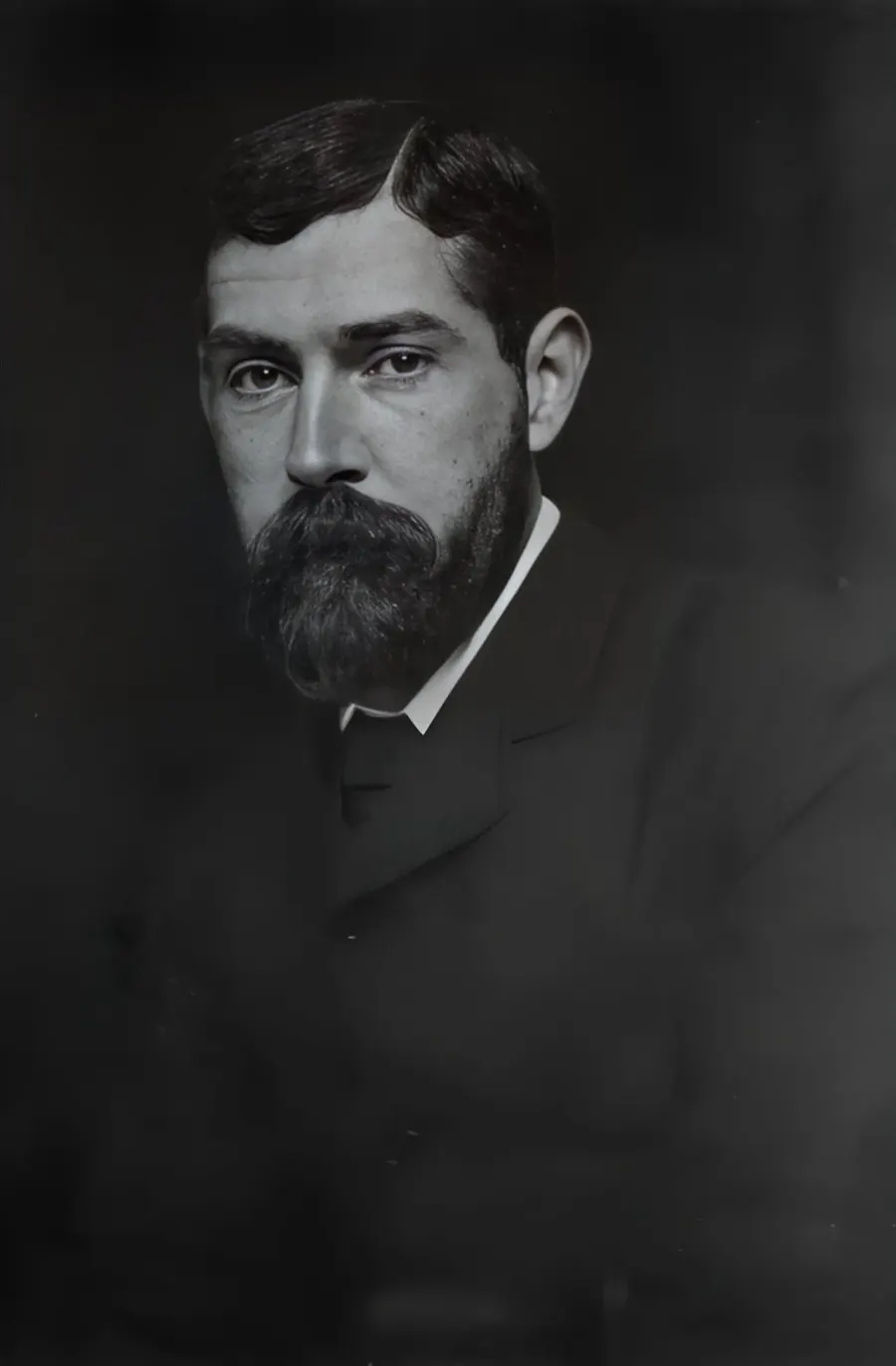 The F. H. Bradley card