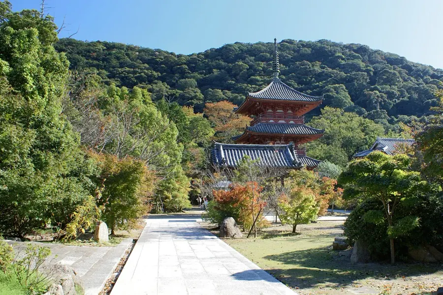 The Taisan-ji card