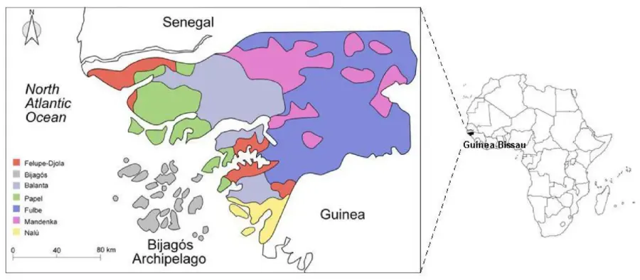 The Jola languages card