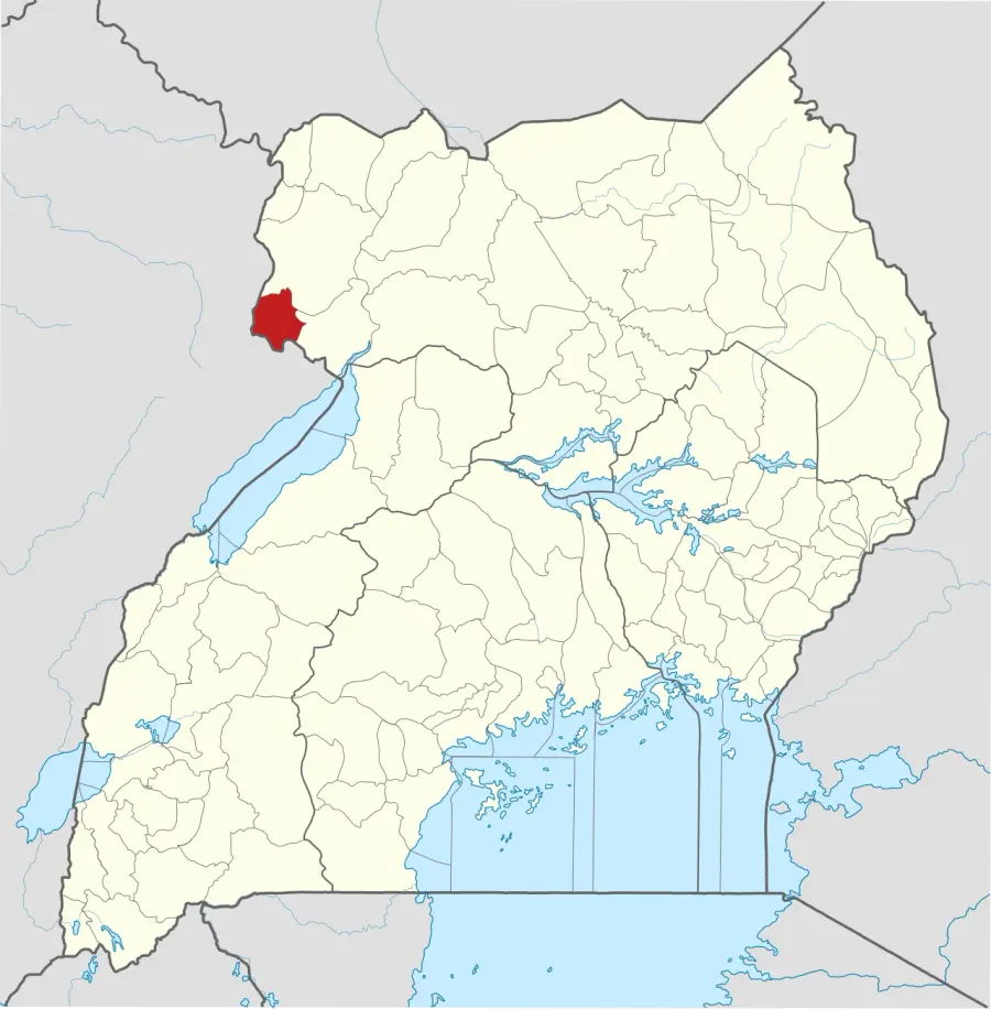 La carte Zombo