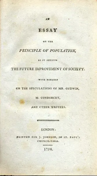 The Essay card