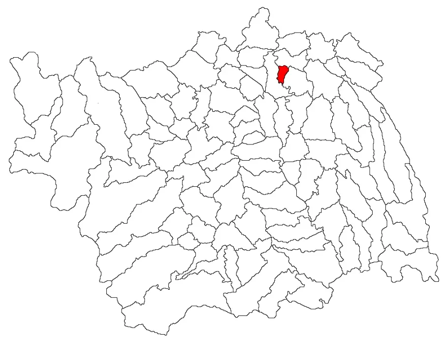 The Prăjești card