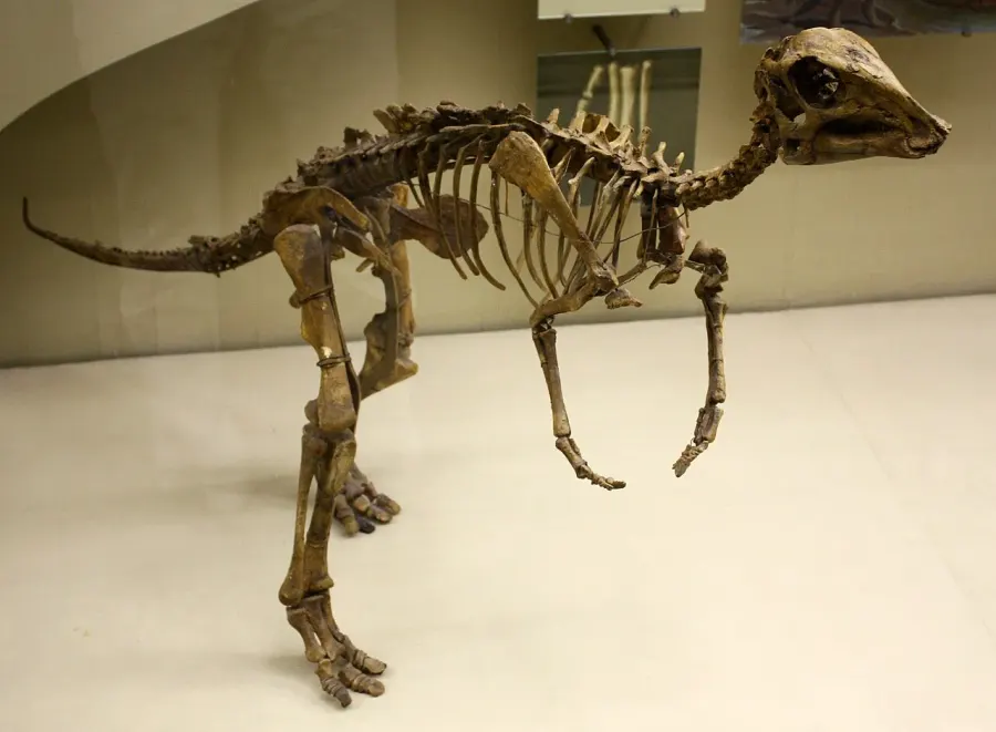 La carte Arstanosaurus