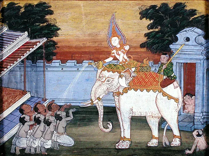 La carte Éléphant blanc