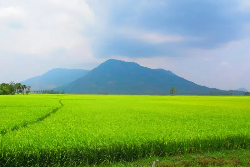 The An Giang province card