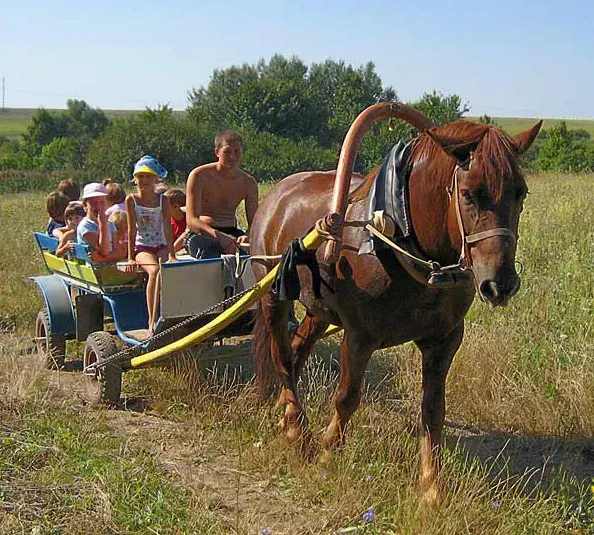 The Rural tourism card