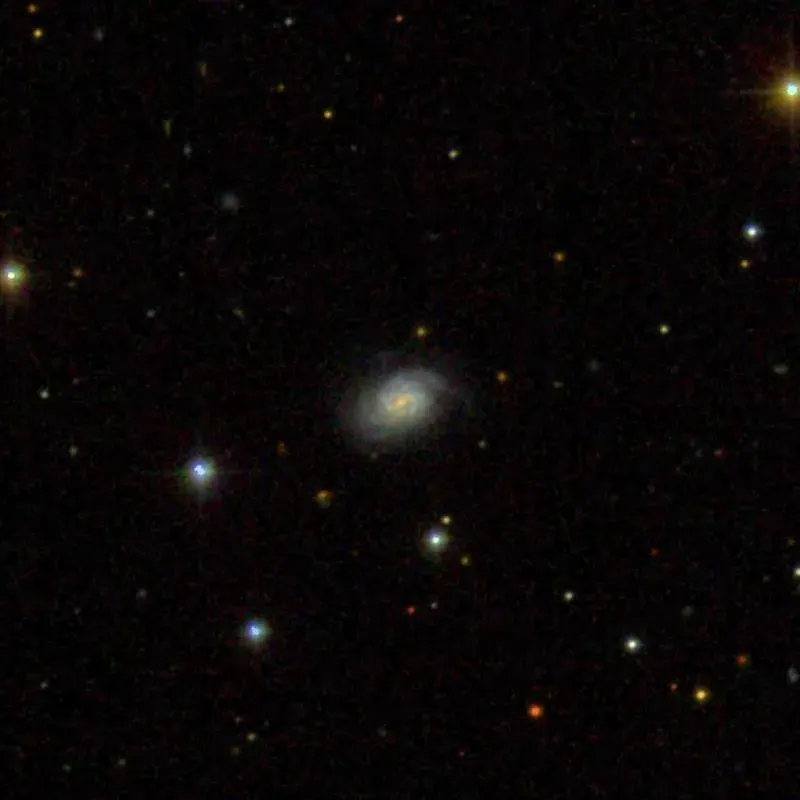 The IC 1011 card