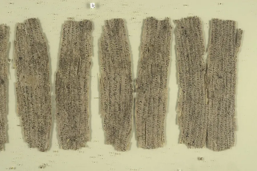 The Gandhāran Buddhist texts card