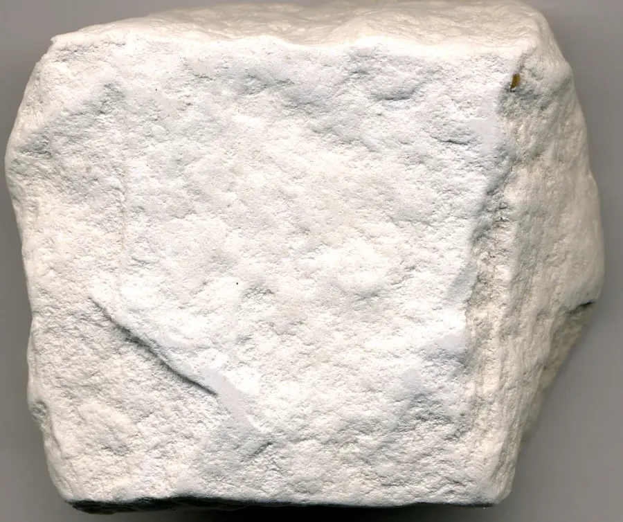 The Diatomite card