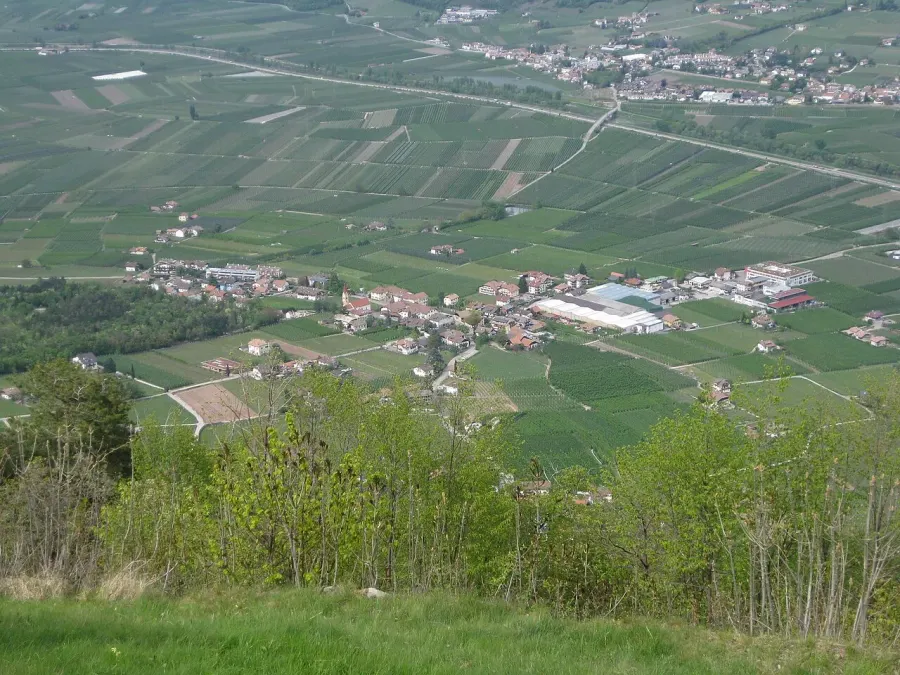 La carte Andriano