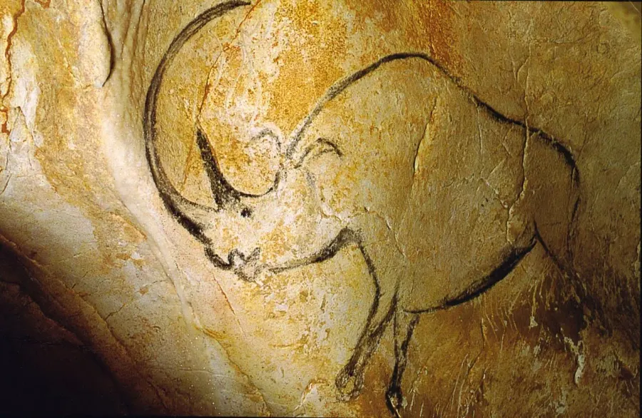 The Chauvet Cave card