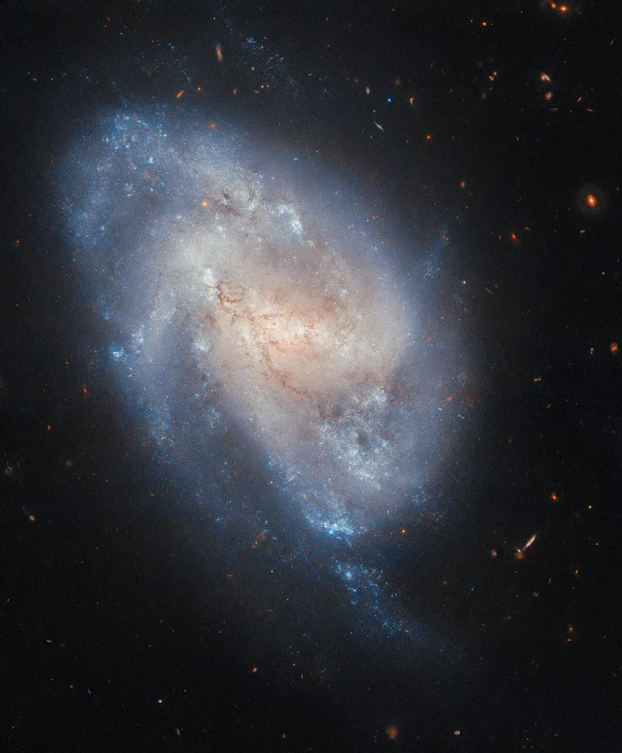 The NGC 337 card