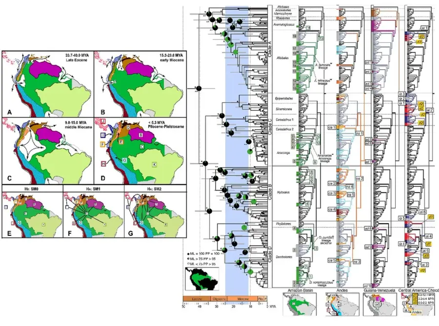 La carte Phylogéographie