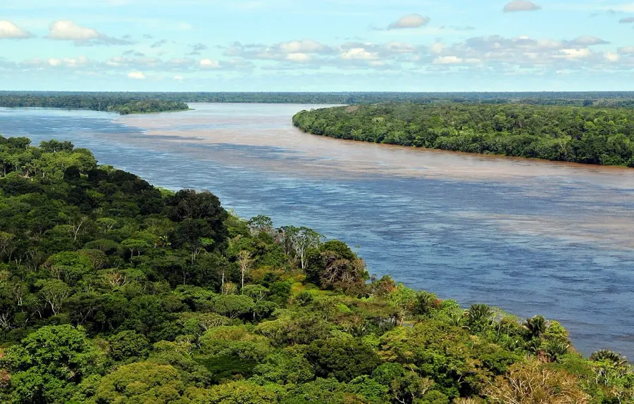 The Amazon River card