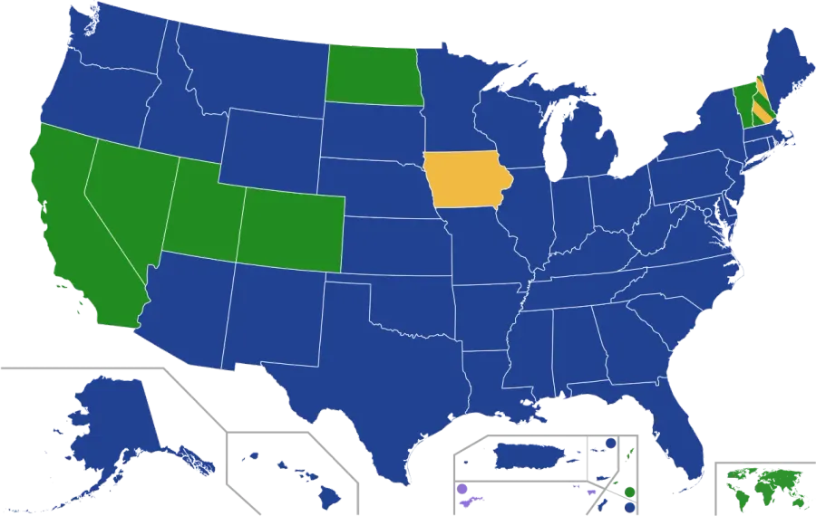The 2020 Democratic Party presidential primaries card