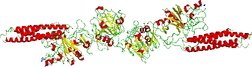 The Fibrinogen card