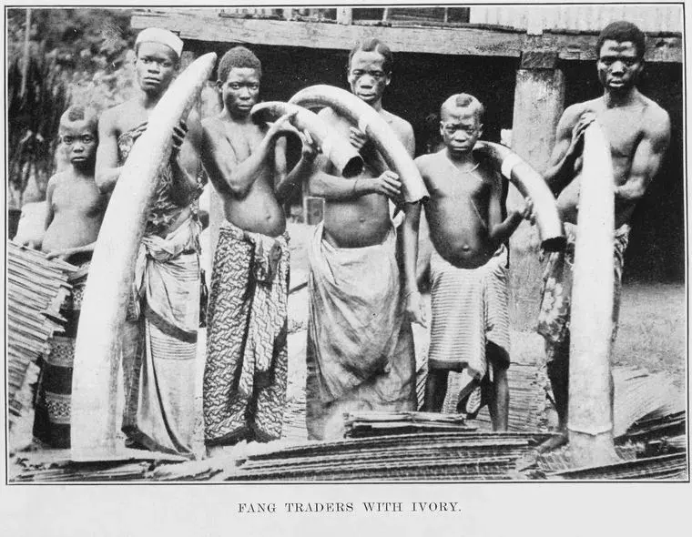 The Ivory trade card