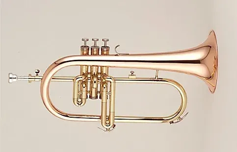 La carte Bugle