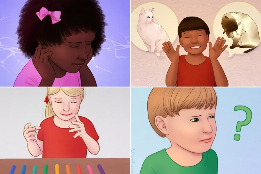 La carte Autisme