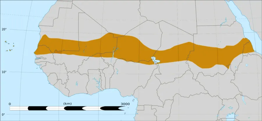 La carte Grande muraille verte