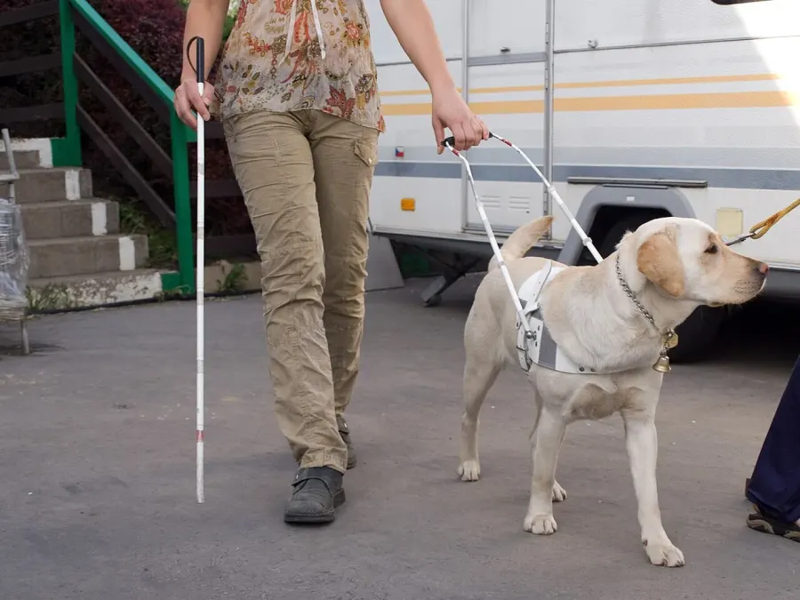 The Guide dog card
