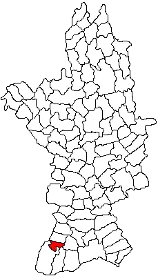 La carte Ștefan cel Mare