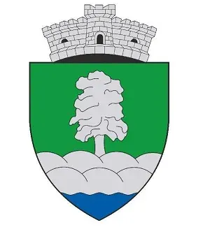 La carte Dragomirești